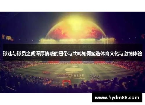 球迷与球员之间深厚情感的纽带与共鸣如何塑造体育文化与激情体验