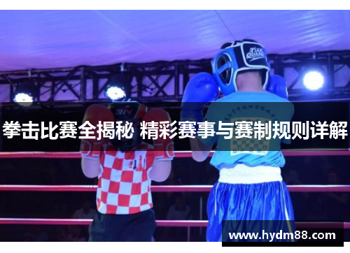 拳击比赛全揭秘 精彩赛事与赛制规则详解
