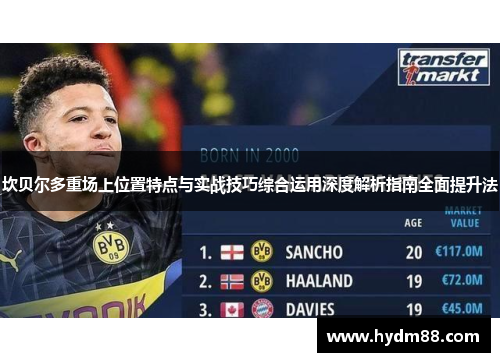 坎贝尔多重场上位置特点与实战技巧综合运用深度解析指南全面提升法